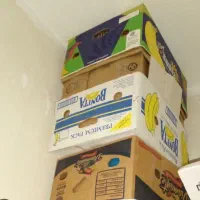 کارتون موزی