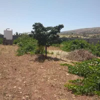 باغشهری هفت برم