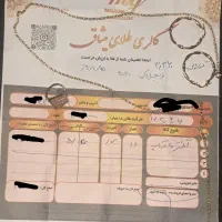 فروش فوری طلا ۱۵۰ بالای تابلو