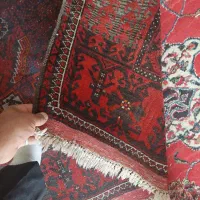 فرش دست باف|فرش|بجنورد, |دیوار