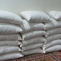 بالشت پر|رختخواب، بالش، پتو|اهواز, زرگان|دیوار
