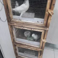 جفت گاه سه،طبقه، شیک