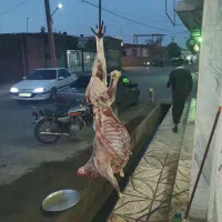قصابی