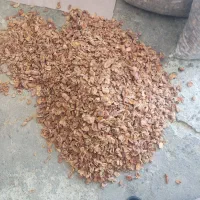 برگه زردآلو