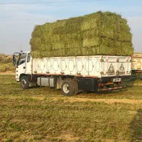 یونجه خشک انباری