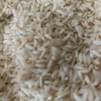 برنج معطر دورود