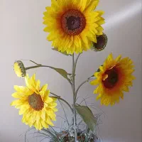 چایساز پلوپز سرخکن رنده فرانسوی|سماور، چایساز، قهوهساز|مشهد, رضاشهر|دیوار