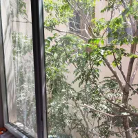 فروش آپارتمان ۶۵ متری ۲ خواب/واریانشهر/رزکان نو|فروش آپارتمان|کرج, شهرک بنفشه|دیوار
