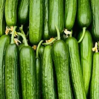 خیار درهم درجه یک دو سه