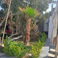 باغ ویلا سه خواب مدرن تریبلکس عمارت سپیدار|اجارهٔ آپارتمان|شهریار, رزکان|دیوار