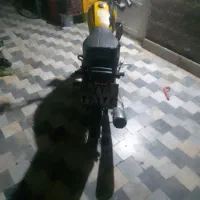 موتور نامی ۱۲۵ccc|موتورسیکلت|گرگان, |دیوار