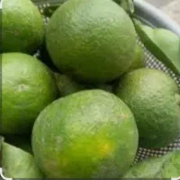 نارنج تازه وآبدار