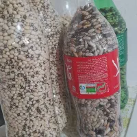 باقالی و لوبیا چشم بلبلی