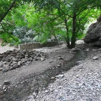 مشارکت درراه اندازی هتل ویلا منطقه گردشگری کلوگان|مشارکت در ساخت املاک|فشم, |دیوار