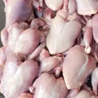 غذای سگ و گربه