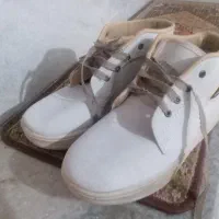 کف ش در حد نو