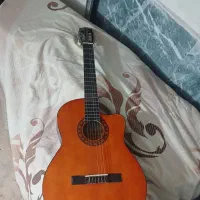 گیتار ولنتیا|گیتار، بیس، امپلیفایر|قوچان, |دیوار