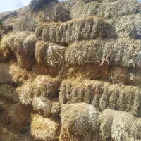 گاه گندوم برای قارچ و....