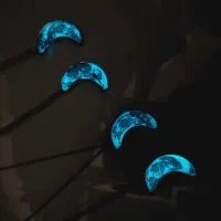 گردنبند ماه شبتاب