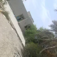 فروش زمین کلنگی|فروش زمین و ملک کلنگی|راسک, |دیوار