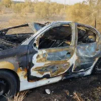 ۲۰۶ تصادفی مدل ۹۶