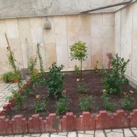 باغبانی و سمپاشی و هرستکاری در همه نقاط تهران