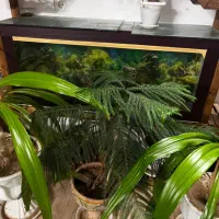 گل و گلدان با بهترین قیمت|گل و گیاه طبیعی|یزد, |دیوار