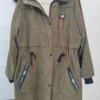 پالتوکبریتی