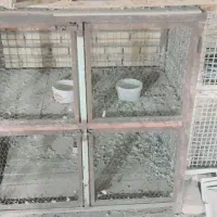 قفس جفت کن|لوازم جانبی حیوانات|میبد, |دیوار