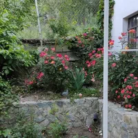 فروش باغ ویلا|فروش خانه و ویلا|آسارا, |دیوار