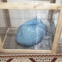 قفس پرنده