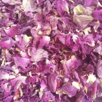 گل محمد|گل و گیاه طبیعی|اسکو, |دیوار