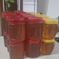 عسل درجه یک گون