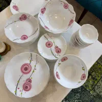 سرویس دوازده نفره آرکوپال