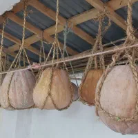کدو