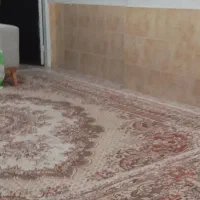 فرش 12متری 500شانه
