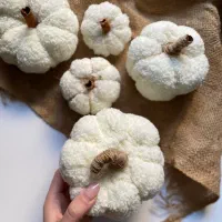 کدوی دکوری|صنایع دستی و سایر لوازم تزئینی|همدان, |دیوار