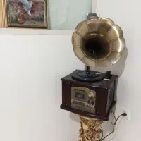رادیو وگرام فلش خور