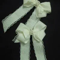 گیره پاپیونی و جذاب