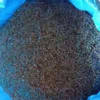 فروش اوشین کوهی