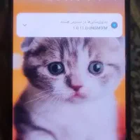 Redmi Note 13 4g|موبایل|تهران, سعادتآباد|دیوار