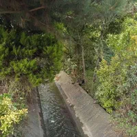 اجاره ویلا سویت کوتاه مدت|اجارهٔ کوتاهمدت ویلا و باغ|رودسر, |دیوار