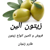 فروش زیتون|خوردنی و آشامیدنی|تهران, بوستان ولایت|دیوار