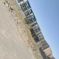 زمین چاهشک مطهری 250متر|فروش زمین و ملک کلنگی|مشهد, چاهشک|دیوار