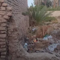 زمین بلوارکشاورز