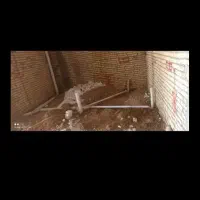 برق کاری. لوله کشی آب و فاضلاب . جوشکاری.تخریب|خدمات پیشه و مهارت|شوشتر, |دیوار