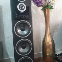 یک جفت اسپیکر حرفه ای پرقدرت