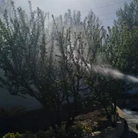 هرس کاری سم پاشی کوددهی شمشادزنی کاشت نهال ...|خدمات باغبانی و درختکاری|کرج, کمالشهر|دیوار