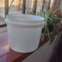 سطل ۶کیلویی درب دار سالم|ظروف نگهدارنده، پلاستیکی، یک‌بارمصرف|هشتگرد, شهرک ایران خودرو|دیوار