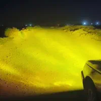 هدلایت نور وحشی